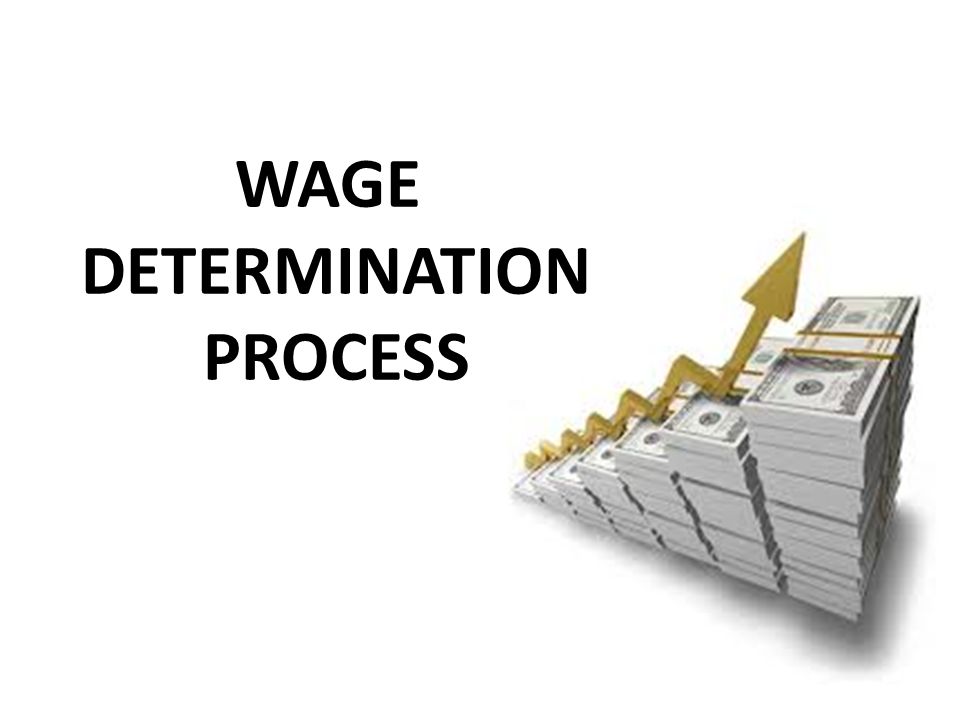 The Determination of Wage in India Essay